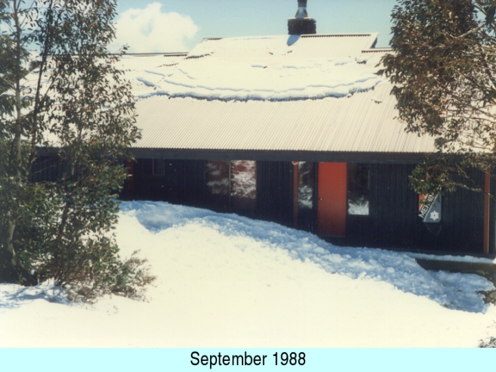 Original image