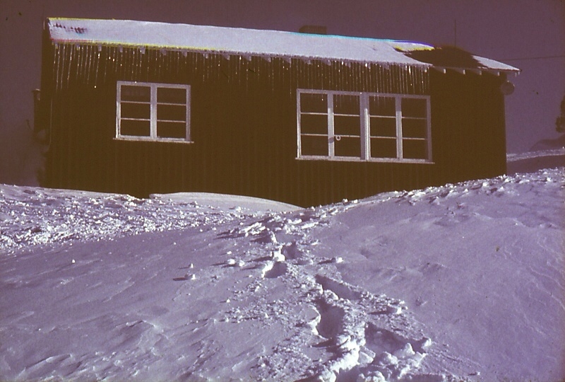 Original image