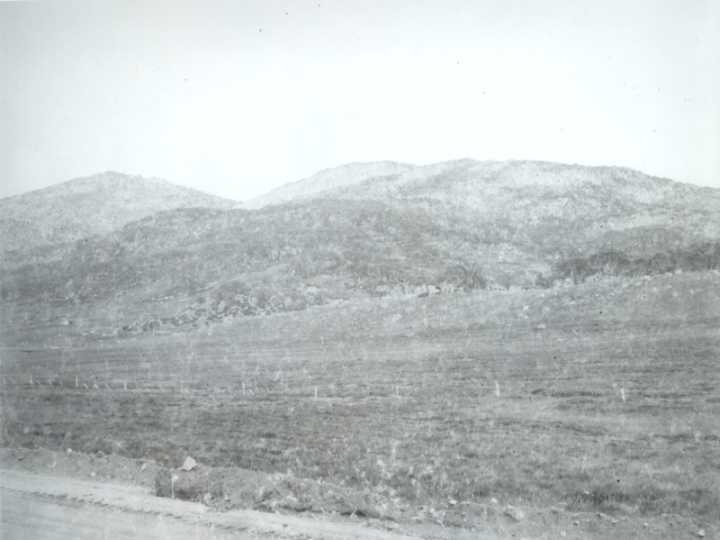 Original image
