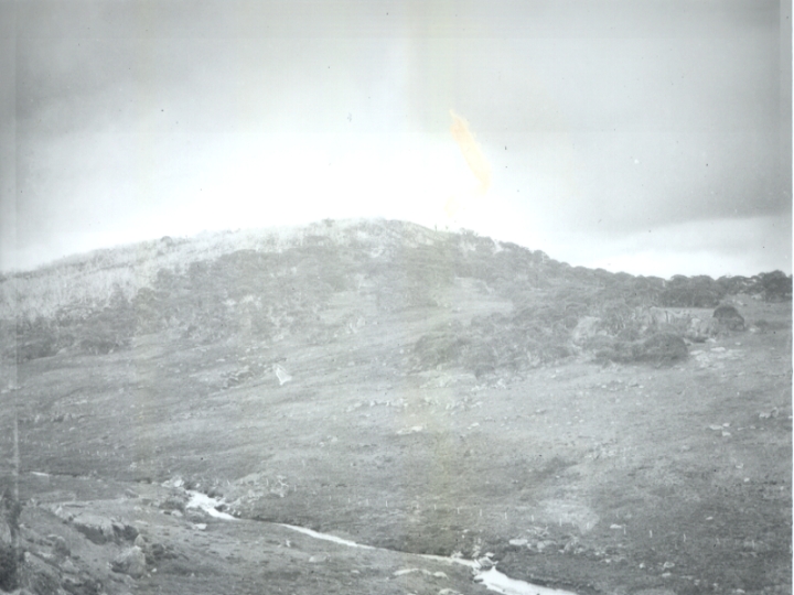 Original image