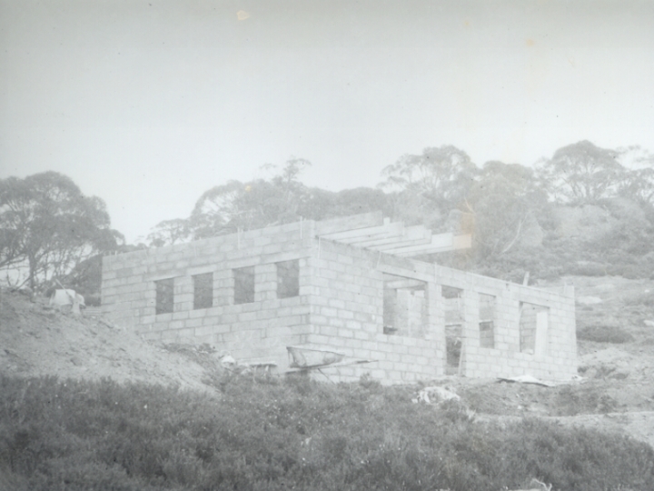 Original image