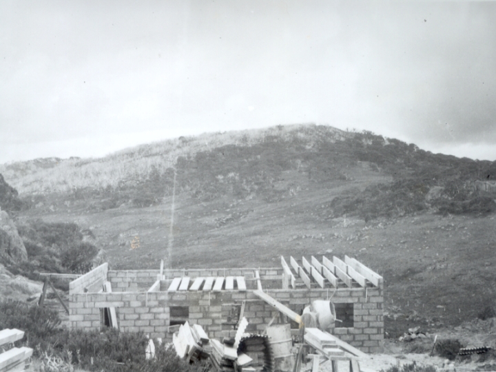 Original image