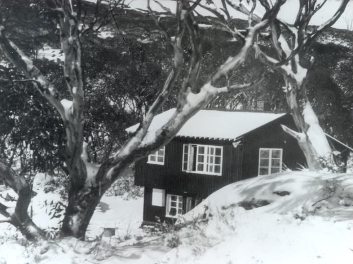Original image