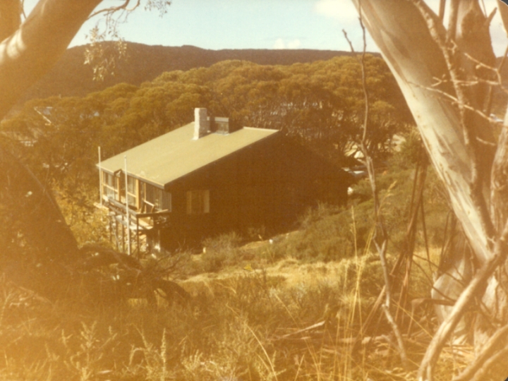 Original image
