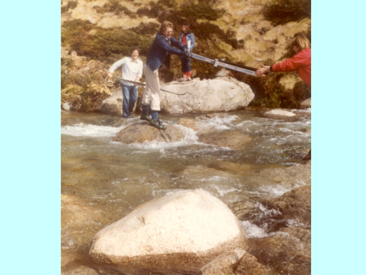 Original image