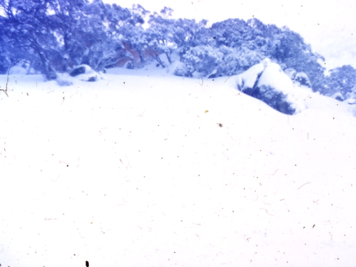 Original image