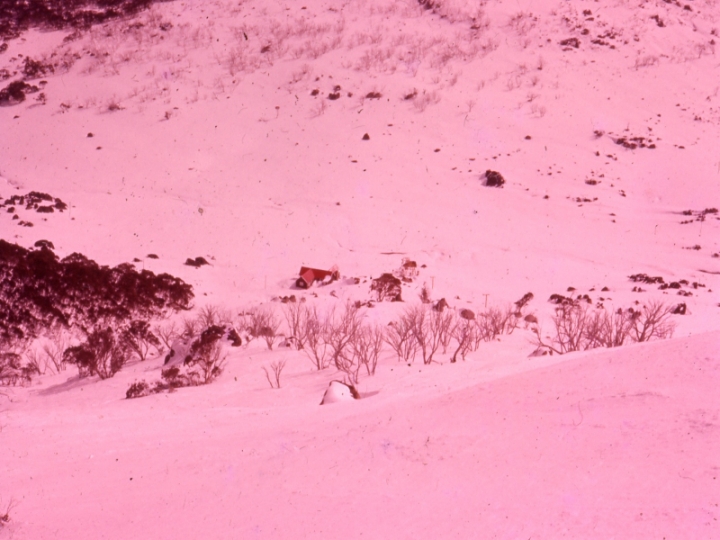 Original image