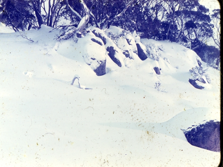 Original image