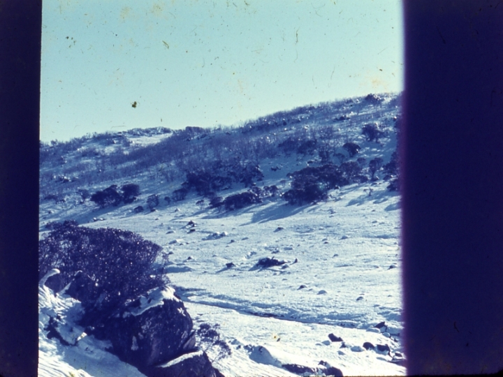 Original image