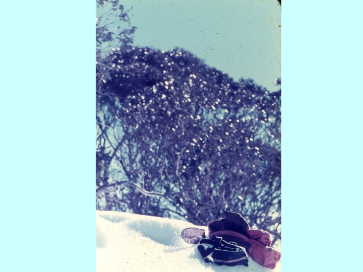 Original image