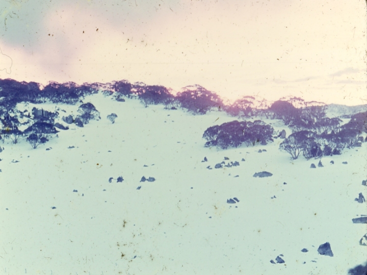 Original image