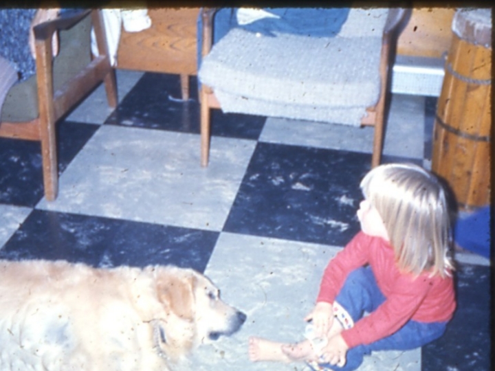 Original image