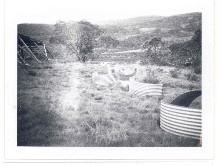 Original image